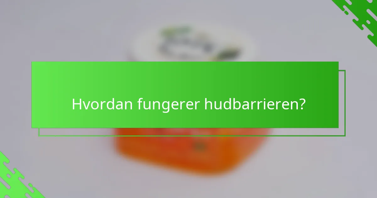 Hvordan fungerer hudbarrieren?